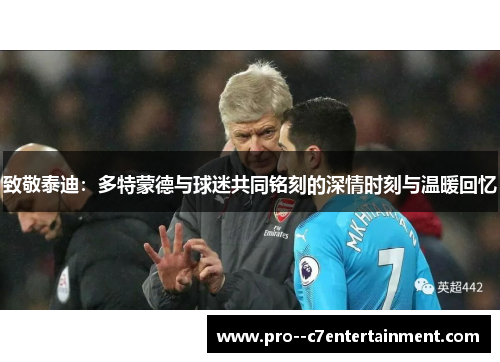 致敬泰迪:多特蒙德与球迷共同铭刻的深情时刻与温暖回忆 致敬泰迪:多特蒙德与球迷共同铭刻的深情时刻与温暖回忆