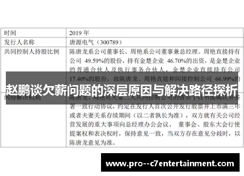 赵鹏谈欠薪问题的深层原因与解决路径探析