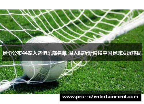 足协公布44家入选俱乐部名单 深入解析新阶段中国足球发展格局