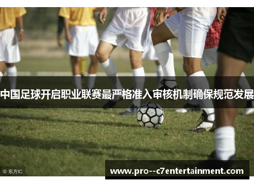 中国足球开启职业联赛最严格准入审核机制确保规范发展 中国足球开启职业联赛最严格准入审核机制确保规范发展